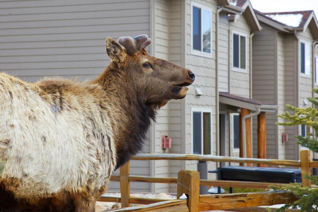 Hotel Beaver Brook On The River Estes Park Esterno foto